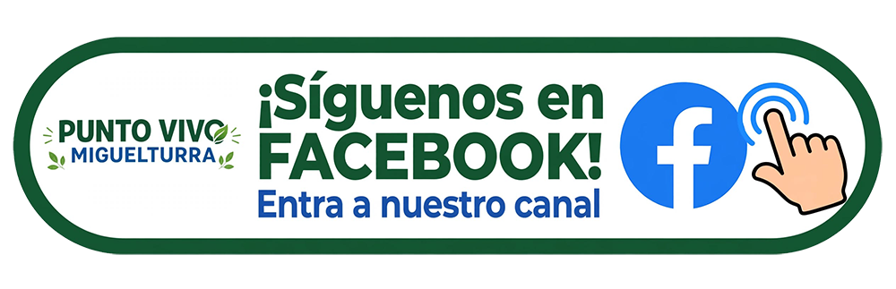 punto vivo facebook