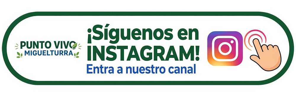 punto vivo instagram