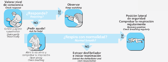 Actuación ante pérdida de consciencia