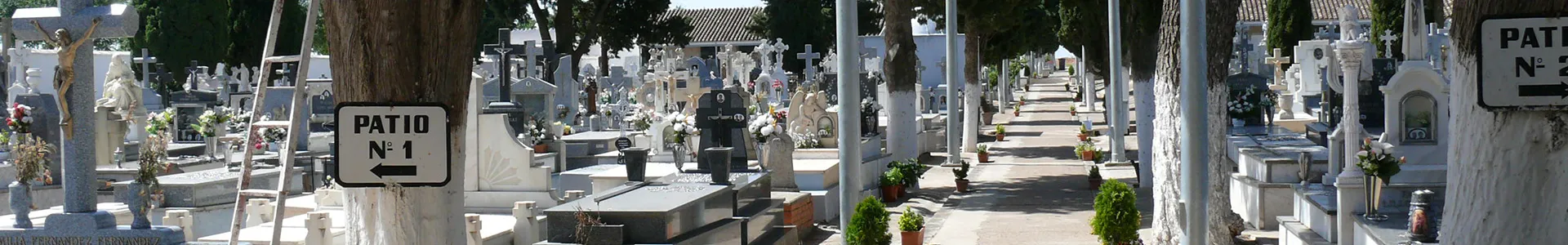 imagen del cementerio de Miguelturra