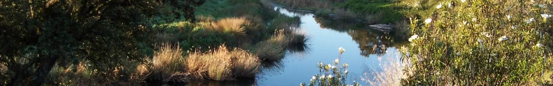 imagen de paisaje en Peralvillo, autora Estrella Rojas