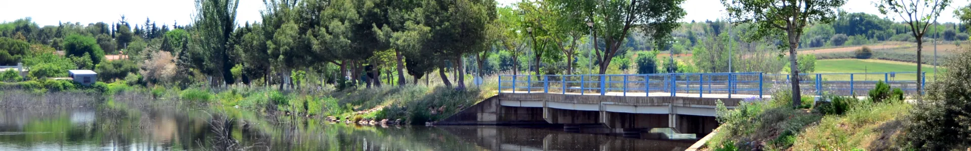 imagen del puente sobre el río en Peralvillo, autor Nacho Vera