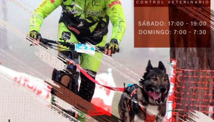 cartel_mushing_2025