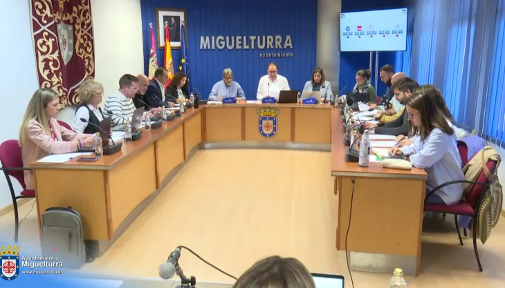 plenoordinario15mayo2025