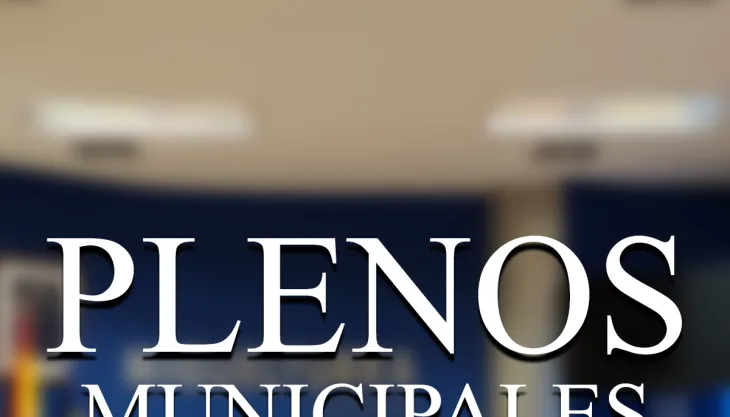 verticalplenosmayo2025b