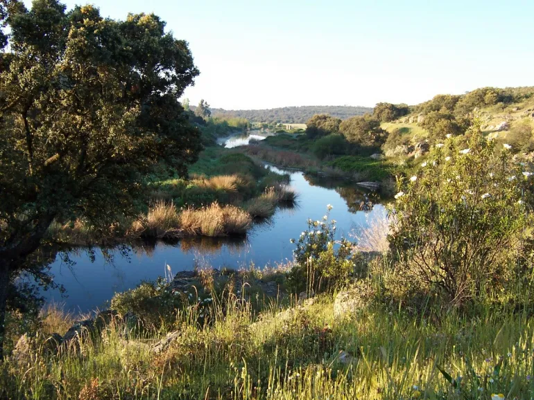 imagen de paisaje en Peralvillo, autora Estrella Rojas