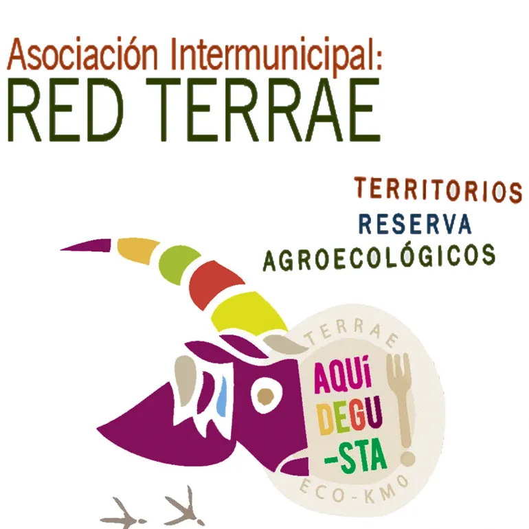 imagen anagrama de la Red Terrae