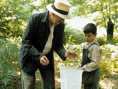 imagen de la película La Lengua de las Mariposas