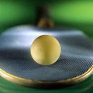 Eventos y Campeonatos de Tenis de Mesa