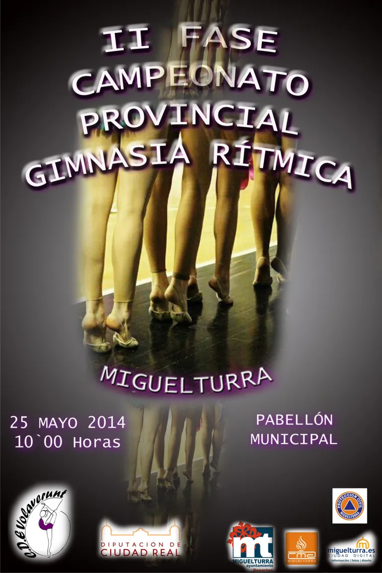 imagen campeonato gimnasia rítmica, mayo 2014