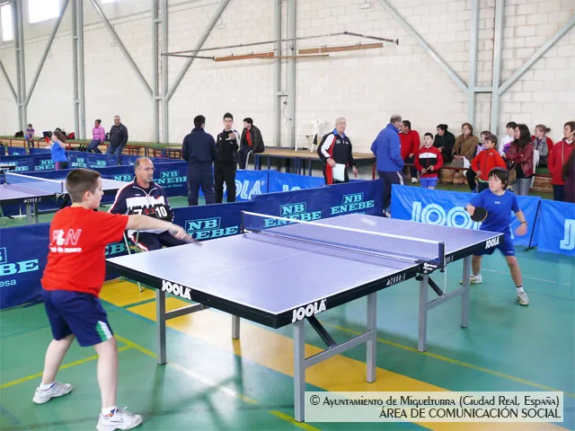 imagen de torneo provincial de tenis de mesa, 2013