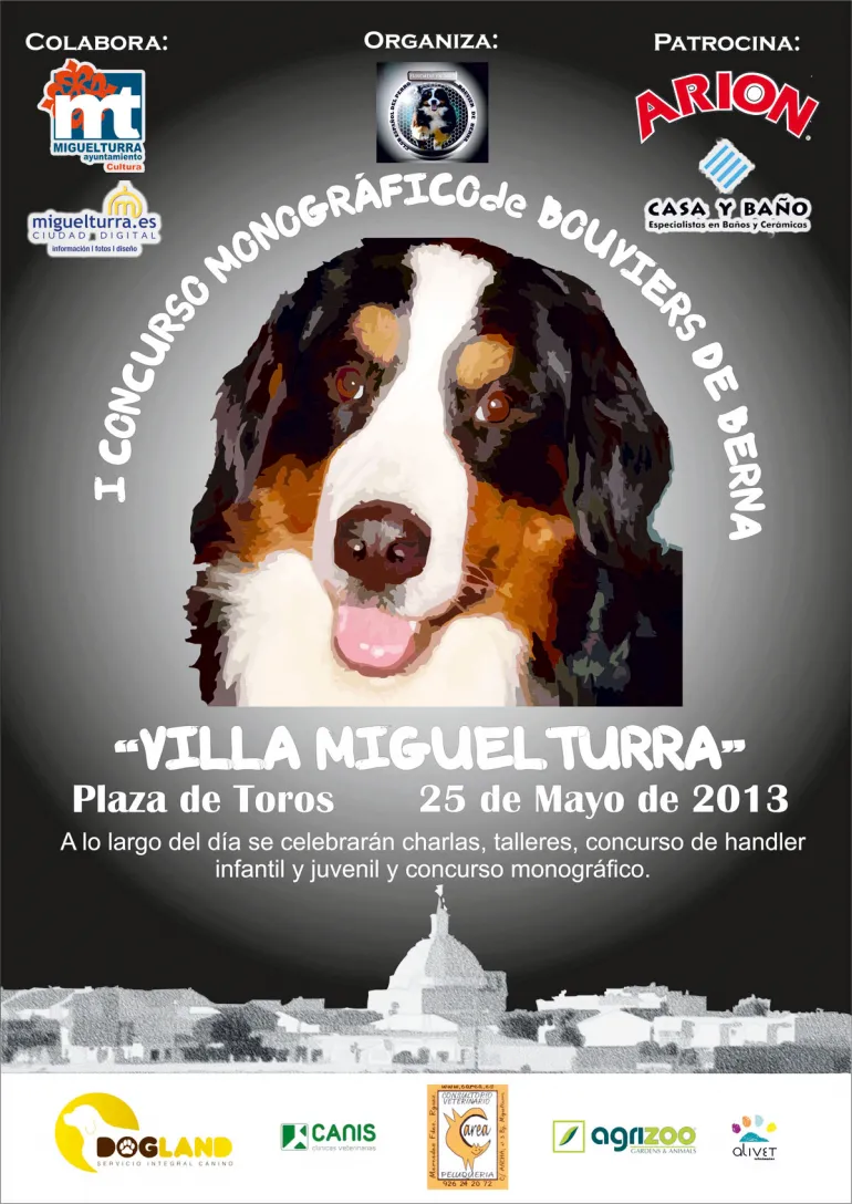 imagen concurso/exhibición boyeros berna 2013