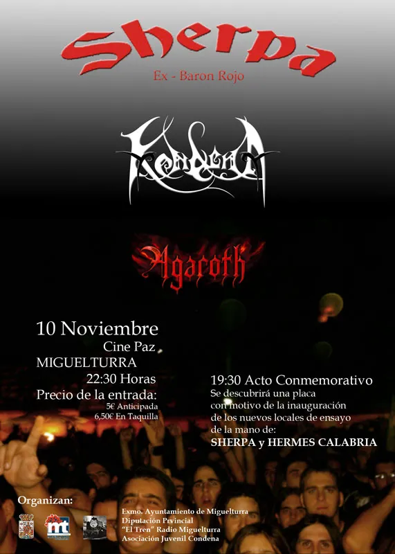 imagen del cartel concierto del 10 noviembre 2007