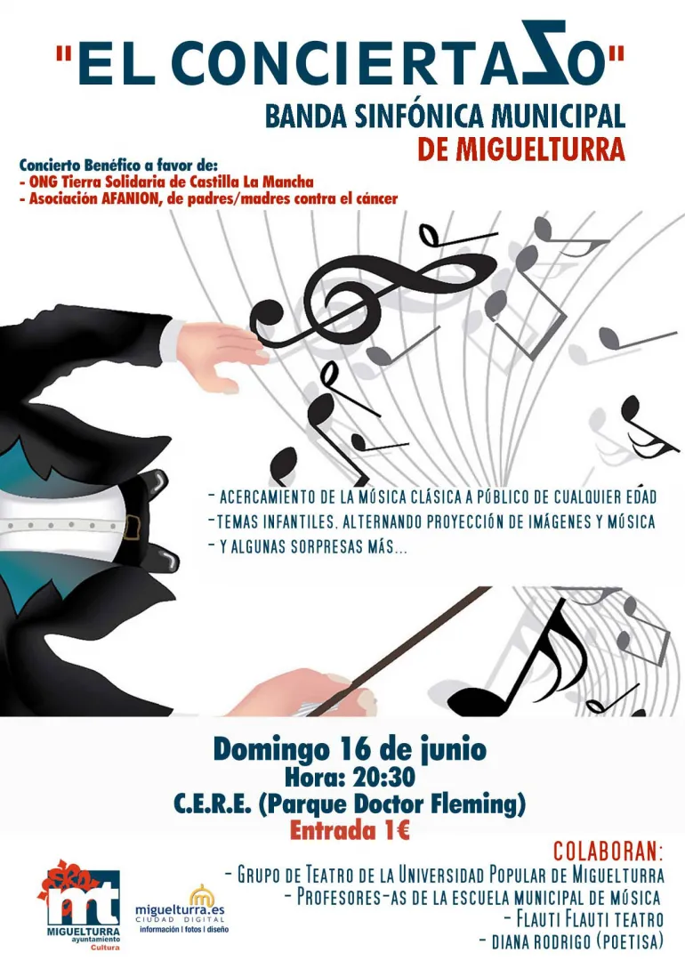 imagen del cartel del Conciertazo, junio 2013