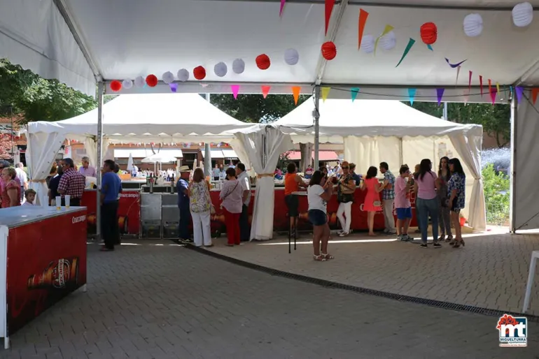 eventos, imagen de la Jarrilla de las pasadas fiestas 2015 de Miguelturra