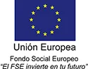 Fondo Social Europeo, anagrama