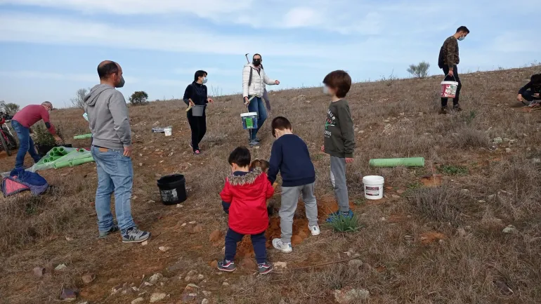 plantación árboles, febrero 2022