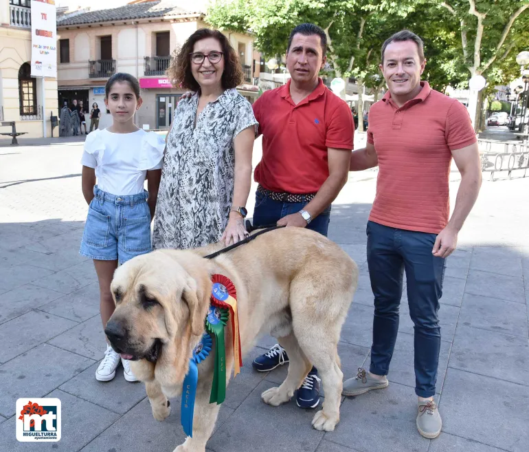 imagen del mastín ganador, autoridades y dueño, julio 2022