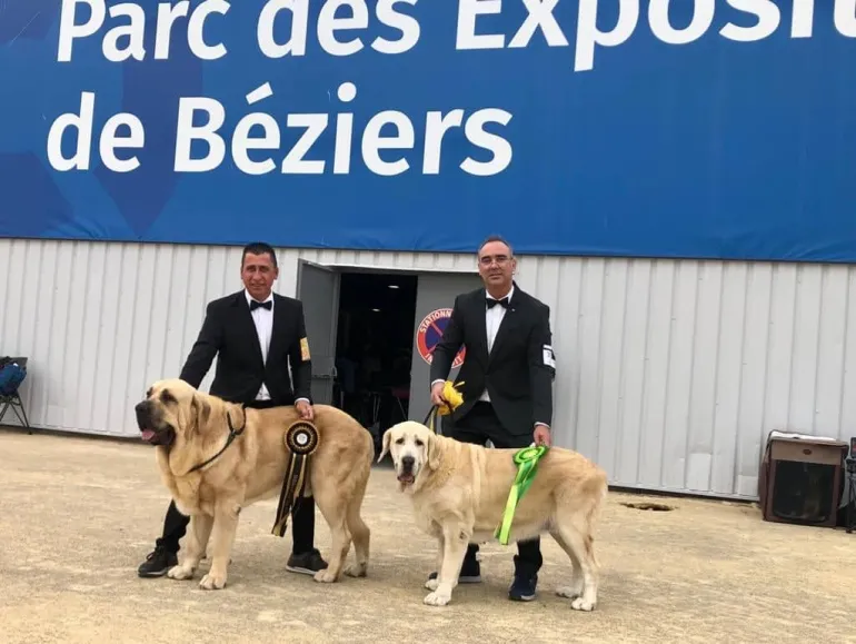 Exposición Canina Internacional Béziers, octubre 2022, imagen 1