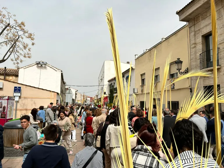 procesion_borriquillo-marzo2024-2