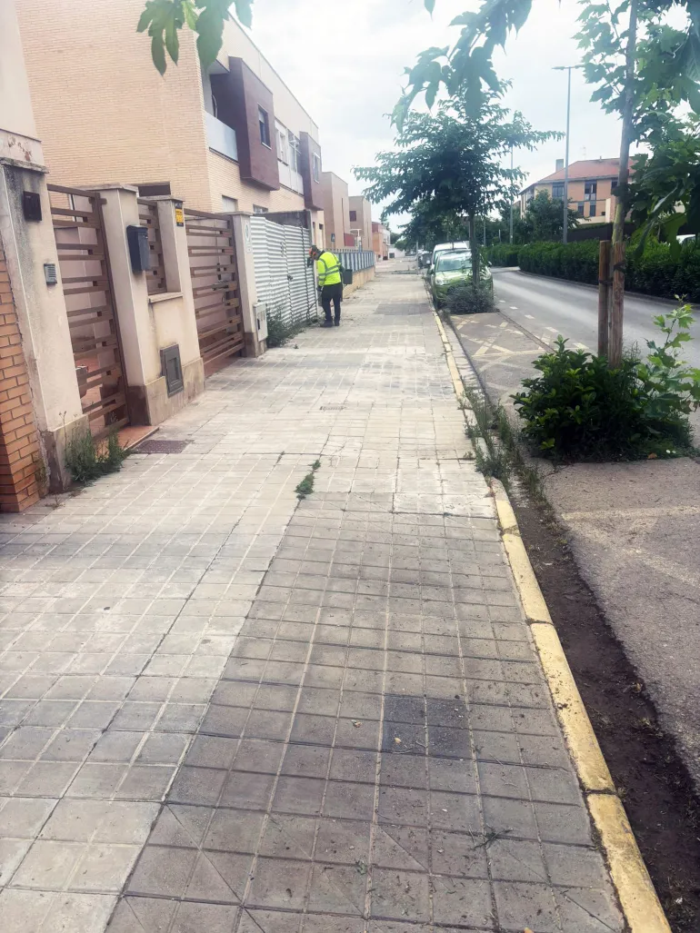 limpiezaviariajunio2025