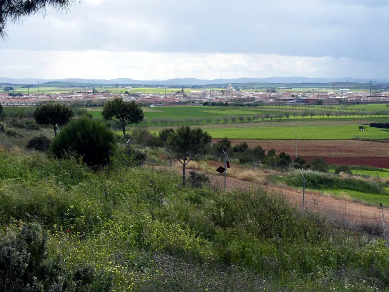 noticiapsoe-agosto2025