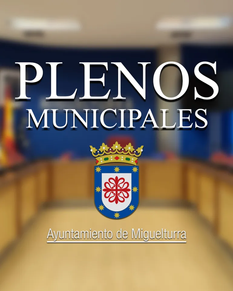 vertical_plenos_mayo_2025