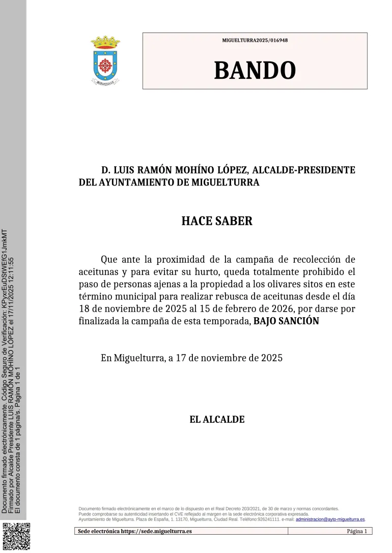 bandocampanaaceituna-aytomiguelturra-18nov2025