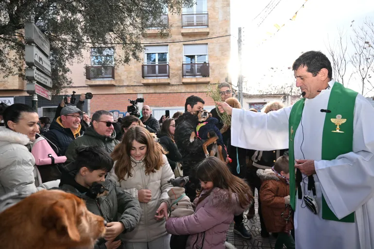 Bendición animales en San Antón, Miguelturra enero 2026