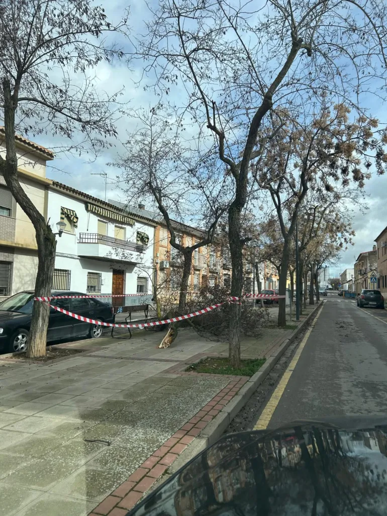 pcivil3-2026-01-29-noticia