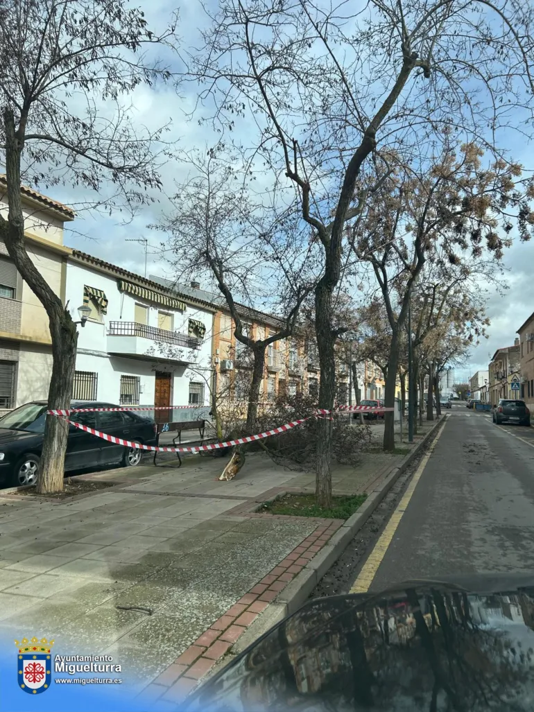 kristin-2026-02-04-noticia