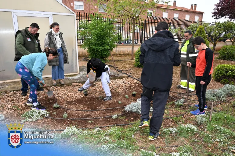 diadelarbol-2026-04-09-noticia