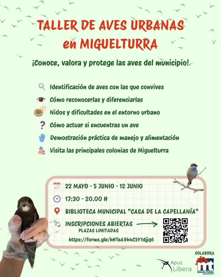 aves-2026-05-20-noticia