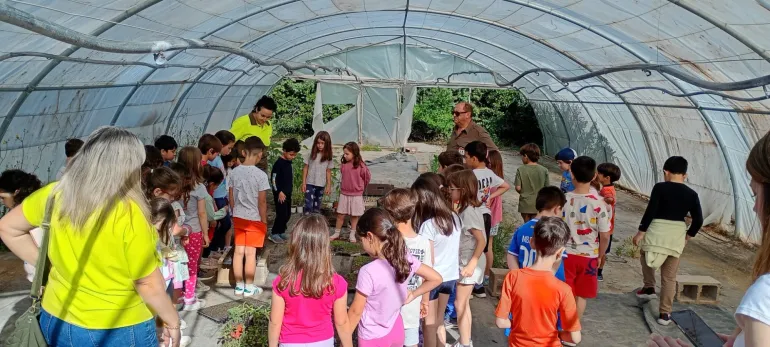 plantas1-2026-05-21-noticia