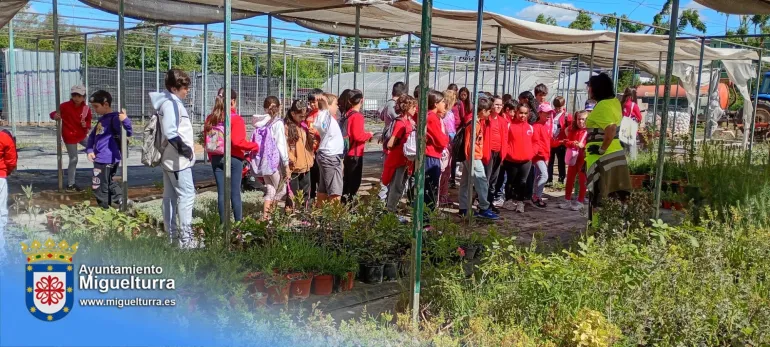 plantas2-2026-05-07-noticia
