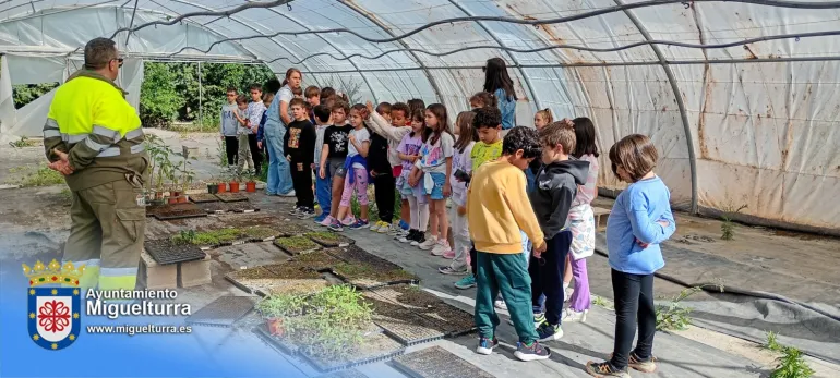 plantas2-2026-05-20-noticia