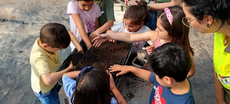 plantas2-2026-05-21-noticia