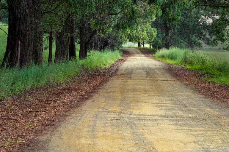 curso imagen de un camino por el campo