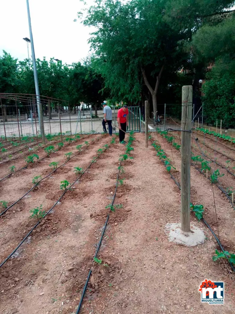 curso imagen huerto del abuelo y la abuela de Miguelturra 2018