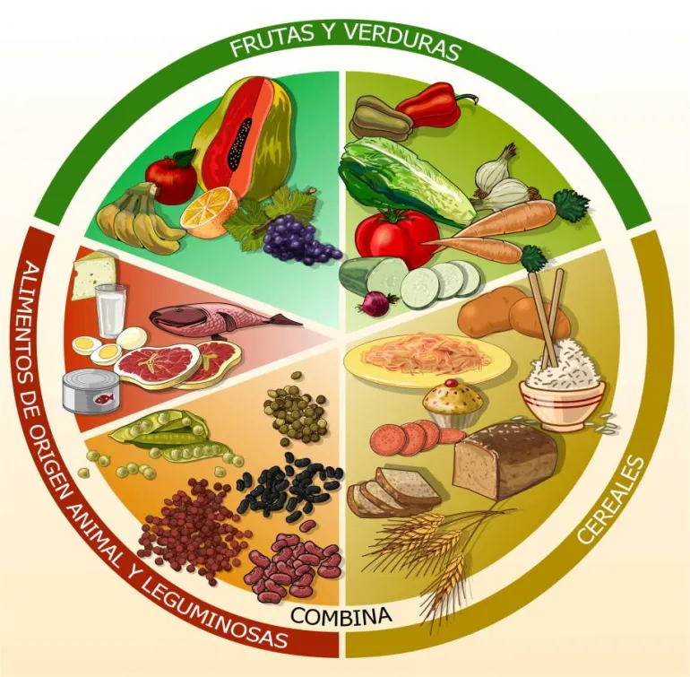 curso imagen relacionada con nutrición
