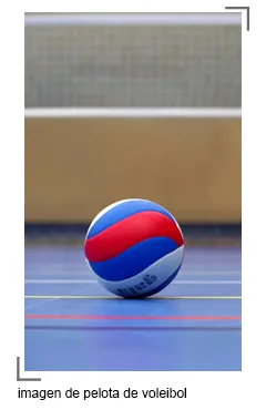evento imagen de una pelota de voleibol