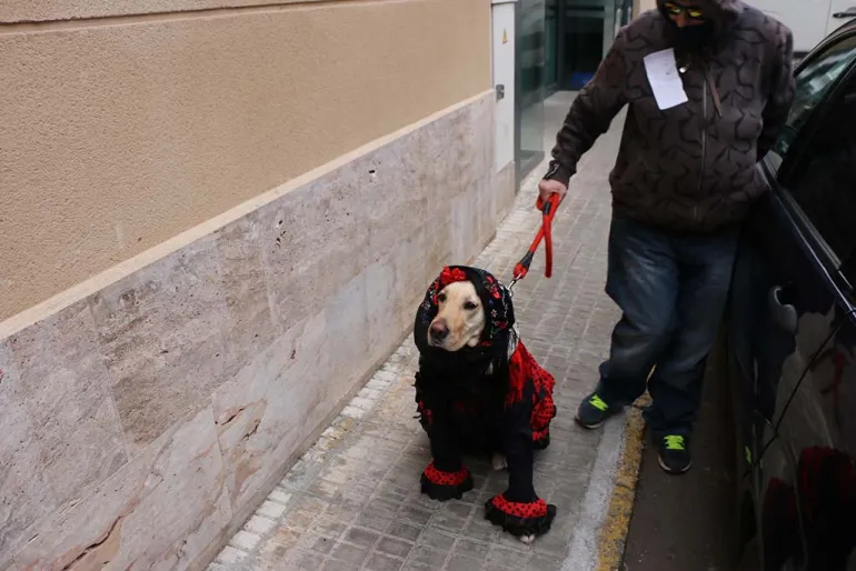 agenda imagen del concurso de mascotas Dejando Huella