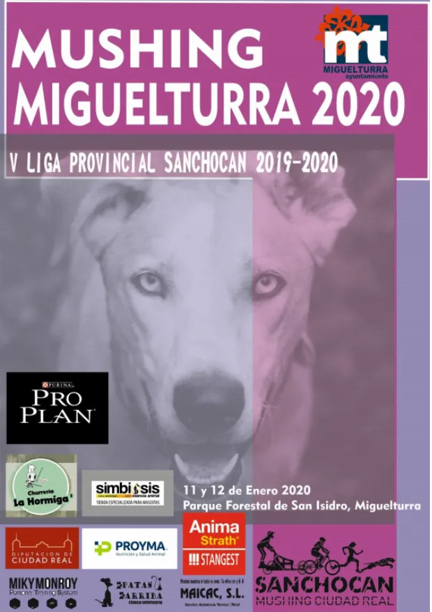 evento imagen cartel Liga Provincial Mushing en Miguelturra, enero de 2020