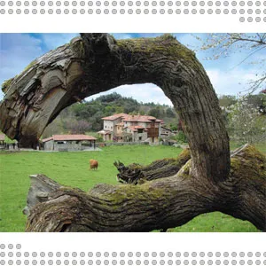 turismo rural, encanto natural