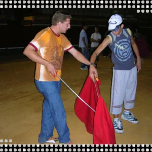 Toros de salón en los cursos