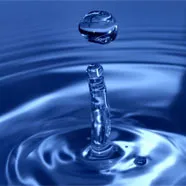 Certámenes y concursos en torno al agua