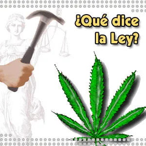 la ley dictamina sobre drogas