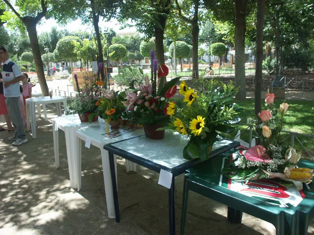 Ramos premiados 