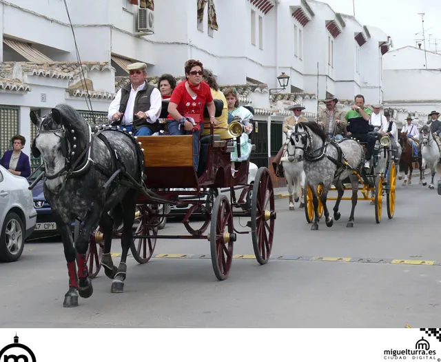 imagen de Carruajes en San Isidro 2007