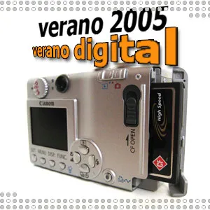 verano digital 2005 en las galerías web